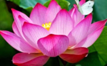Tập tỉnh giác trên mọi sinh hoạt hàng ngày